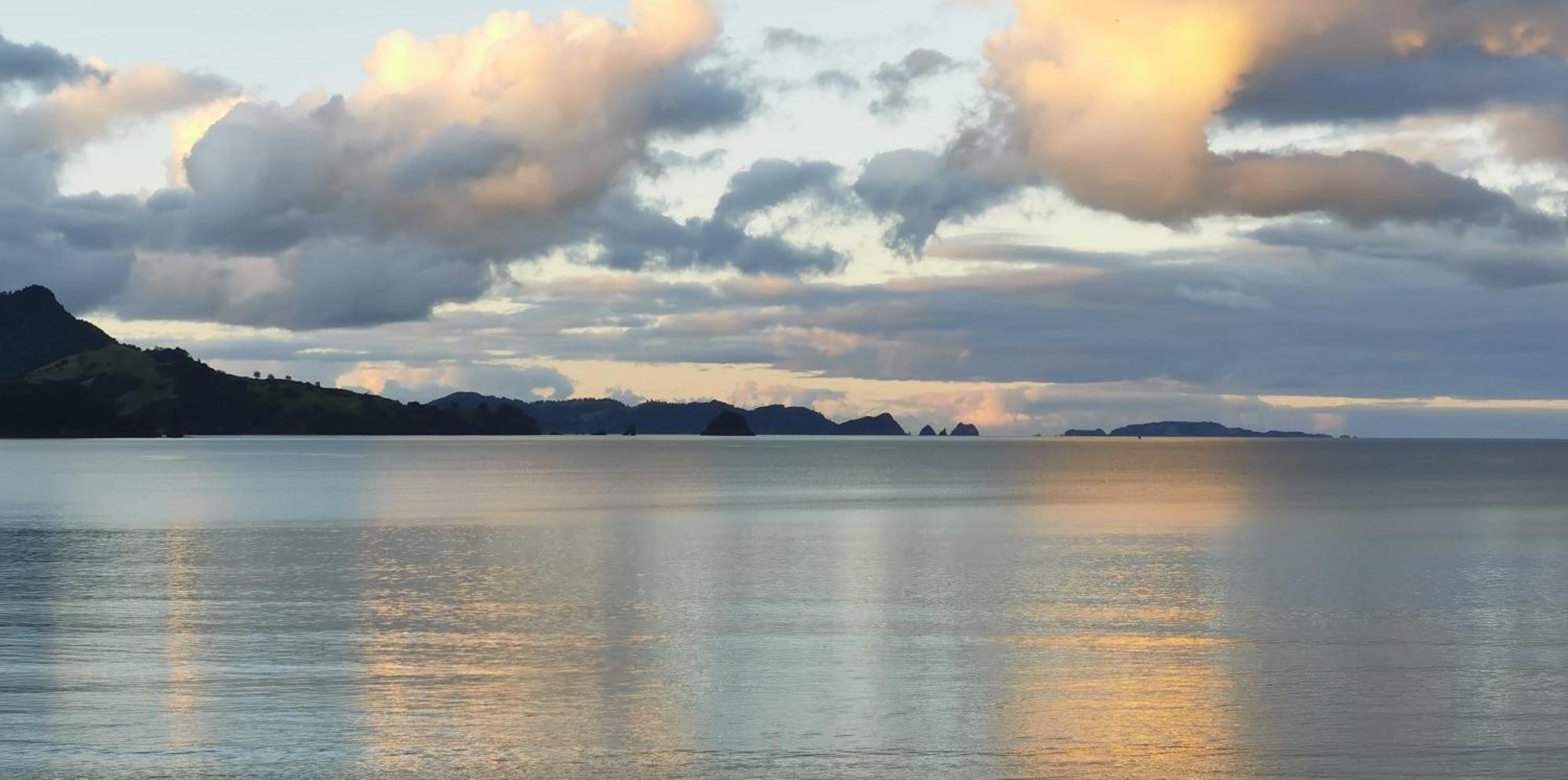 Waterfront Apartments Whitianga Zewnętrze zdjęcie
